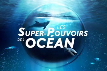 &quot;Les super-pouvoirs de l&#039;Océan&quot; : soirée spéciale sur France 2 le 28 novembre 2023