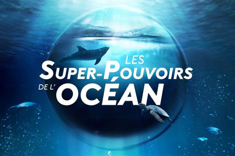 "Les super-pouvoirs de l'Océan" : soirée spéciale sur France 2 le 28 novembre 2023