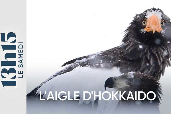 "13h15 le samedi" au Japon sur l’île d’Hokkaidō à la rencontre de Jérémie Villet ce 15 mars 2025 sur France 2