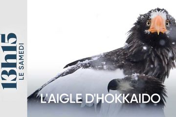 "13h15 le samedi" au Japon sur l’île d’Hokkaidō à la rencontre de Jérémie Villet ce 15 mars 2025 sur France 2