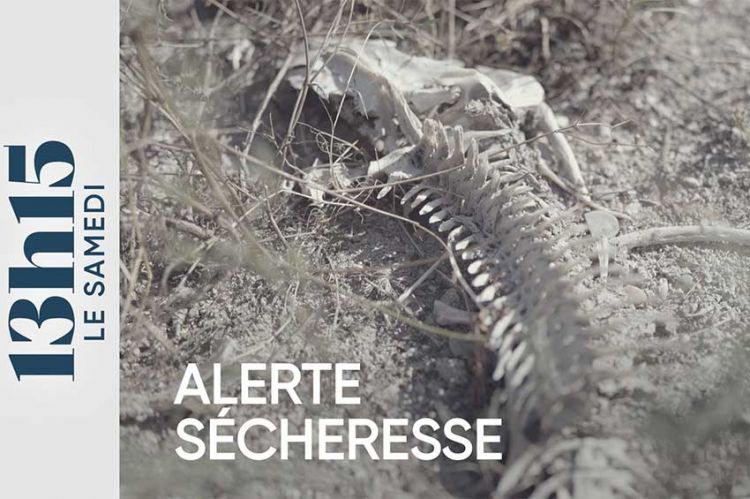 "13h15 le samedi" - Alerte sécheresse dans les Pyrénées-Orientales ce 21 septembre 2024 sur France 2