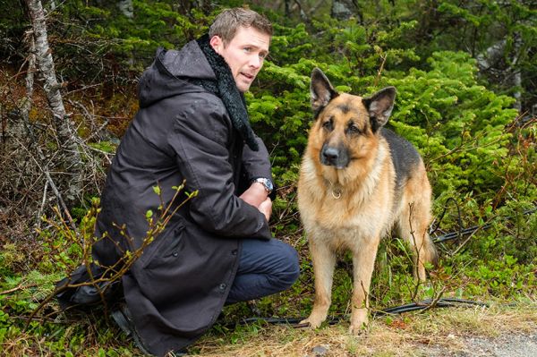 "Hudson et Rex" saison 5 : les 4 premiers épisodes diffusés sur France 3 dimanche 7 avril 2024