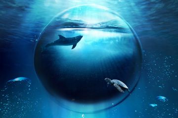 "Les super-pouvoirs de l'Océan" mardi 28 novembre 2023 sur France 2