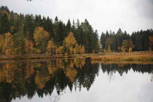 “Echappées Belles” : « Les Vosges, naturellement », samedi 29 mai sur France 5 (vidéo)