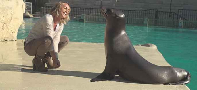 “Dans les secrets du Zoo de Beauval” avec Cécile de Ménibus jeudi 29 décembre sur C8