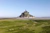 "Secrets sauvages du patrimoine" : Mont-Saint-Michel, la baie des merveilles sur ARTE samedi 27 juillet 2024
