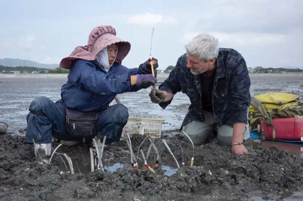 "Au bout c'est la mer - Le fleuve Chikugo Gawa au Japon" jeudi 31 juillet 2025 sur France 5