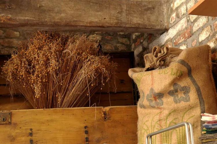 "Le lin, ce trésor français" : enquête sur cette fibre noble qui séduit la planète, mardi 1er avril 2025 sur France 5