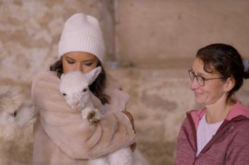 "L'amour est dans le pré" lundi 20 janvier 2025 sur M6 : voici les 5 agriculteurs que vous allez découvrir cette semaine