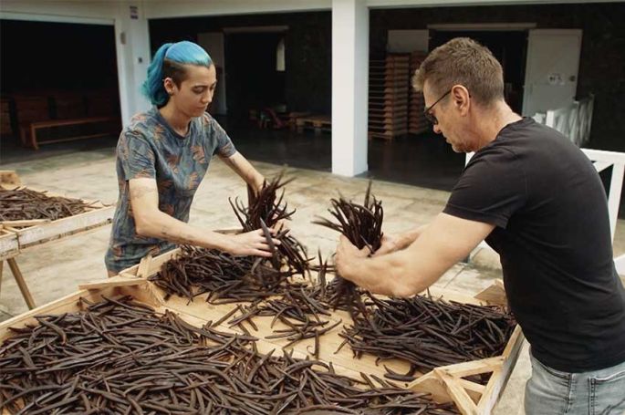 "On va déguster : la vanille, l’or noir des saveurs" sur France 5 mardi 27 janvier 2026