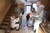 &quot;Cleaners les experts du ménage&quot; : inédit sur TFX mercredi 31 mai 2023 - Vidéo