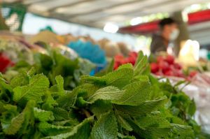 « La vérité si je menthe », mardi 28 septembre sur France 5 (vidéo)