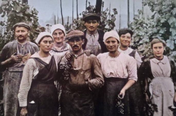 &quot;L&#039;épopée des vignerons&quot; d&#039;Emmanuelle Nobécourt à revoir sur France 5 dimanche 26 janvier 2025