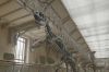 &quot;Mammouths, dinosaures : peut-on vraiment les faire revenir ?&quot; sur RMC Decouverte mercredi 2 juillet 2025