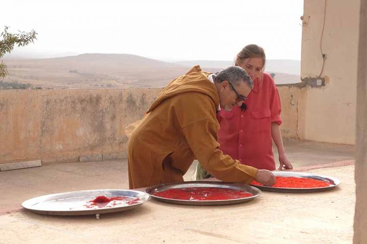 « Safran, la ruée vers l'or rouge » mardi 4 janvier sur France 5 (vidéo)