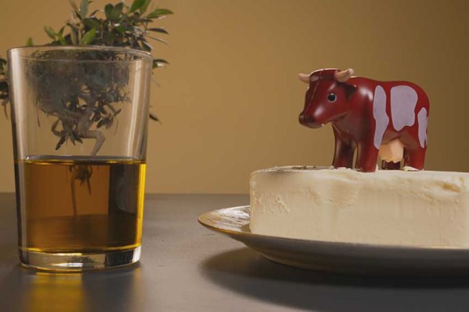 "Enquête de santé" : Alimentation, la revanche du gras, mardi 18 novembre 2025 sur France 5