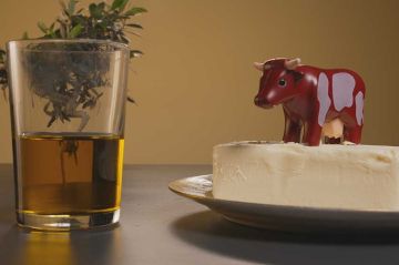 &quot;Enquête de santé&quot; : Alimentation, la revanche du gras, mardi 18 novembre 2025 sur France 5