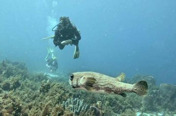 "Reportages découverte" « Vivre de sa passion : rêve et réalité » sur TF1 samedi 14 octobre 2023