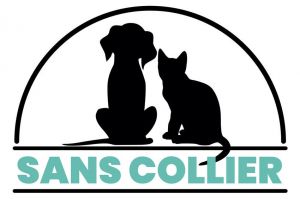 “Sans collier” : immersion au refuge pour animaux de Montpellier avec Jean-Luc Reichmann sur TF1