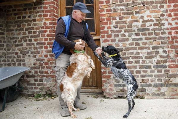 "L'amour est dans le pré" : découvrez Daniel, agriculteur de la saison 21 sur M6