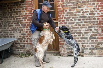 "L'amour est dans le pré" : découvrez Daniel, agriculteur de la saison 21 sur M6