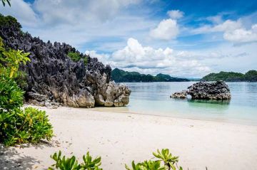 &quot;Koh-Lanta&quot; : Denis Brogniart vous emmène sur l&#039;un des camps avant l&#039;arrivée des candidats (vidéo)