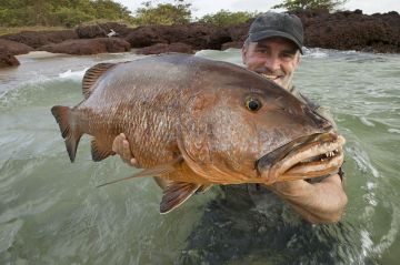 &quot;Pêche XXL : derniers géants&quot; : 3ème épisode diffusé sur RMC Découverte dimanche 10 décembre 2023