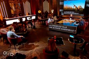 Replay “On est en direct” : «  La chasse est-elle une activité essentielle ? », le tour de la question avec Laurent Ruquier (vidéo)