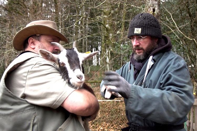 “Vétos de campagne” : nouvelle série documentaire à décourvir sur C8 dès le 12 juin