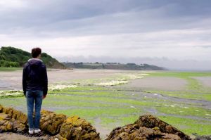 “Le monde en face”: « Bretagne : une terre sacrifiée », mardi 17 novembre sur France 5