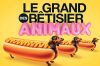 &quot;Le grand bêtisier des animaux&quot; Le 3ème épisode diffusé sur Gulli jeudi 27 juin 2024
