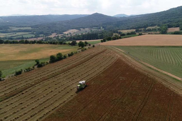 « Où sont passées les hirondelles ? » mercredi 23 mars sur France 3