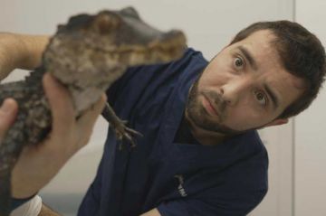 "Reportages découverte" « Vétérinaires pour animaux sauvages : Les risques du métier » sur TF1 samedi 10 juin 2023