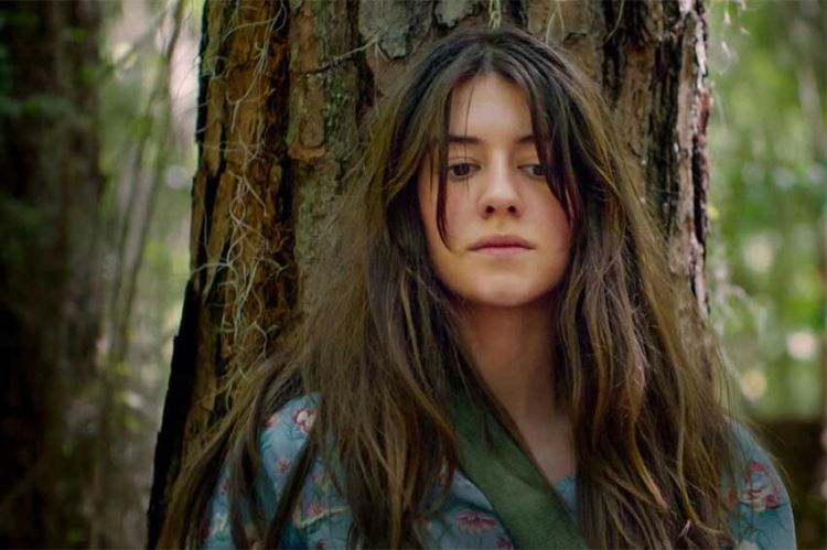 Inédit, le film "Là où chantent les écrevisses" diffusé sur TF1 dimanche 11 janvier 2026 (vidéo)