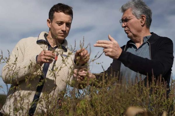 "Sur le front" : Hugo Clément enquête sur les allergies au pollen, lundi 17 mars 2025 sur France 5