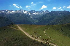 “Des racines et des ailes” : « Les Pyrénées au cœur » à revoir mercredi 23 mars sur France 3