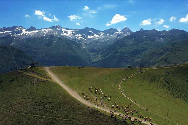 “Des racines et des ailes” : « Les Pyrénées au cœur » à revoir mercredi 23 mars sur France 3