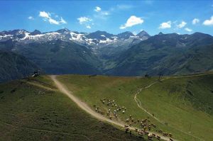 “Des racines et des ailes” : « Les Pyrénées au cœur », mercredi 25 novembre sur France 3