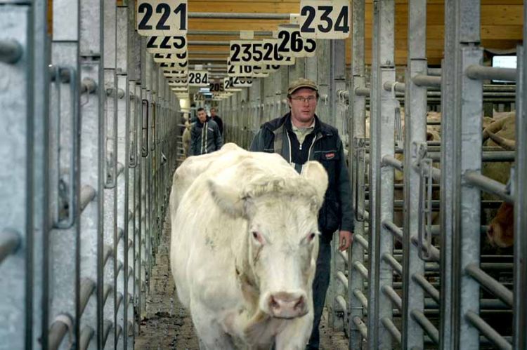 « Sacrifice paysan » : plongée dans le monde agricole en détresse, mercredi 10 août sur ARTE