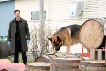 "Hudson et Rex" saison 7, résumé des épisodes diffusés sur France 3 dimanche 5 juillet 2026