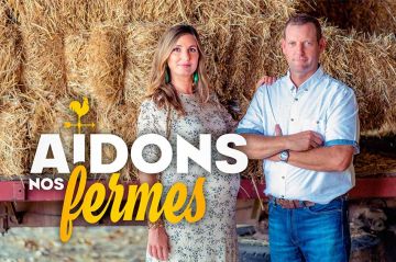 &quot;Aidons nos fermes&quot; : nouveau magazine dans le monde agricole sur M6 mercredi 28 juin 2023