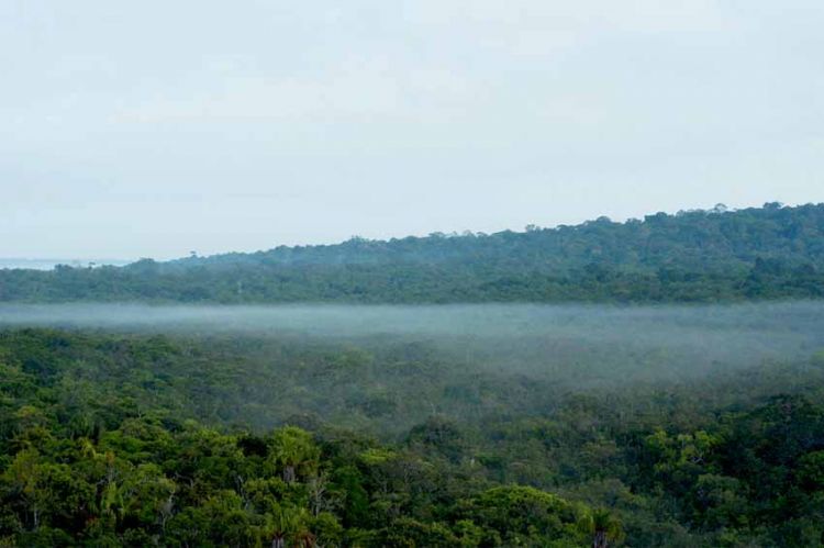 « Le mystère des rivières volantes d'Amazonie », samedi 12 novembre 2022 sur ARTE