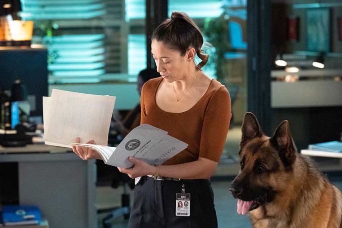 "Hudson et Rex" saison 7, résumé des épisodes diffusés sur France 3 dimanche 28 juin 2026