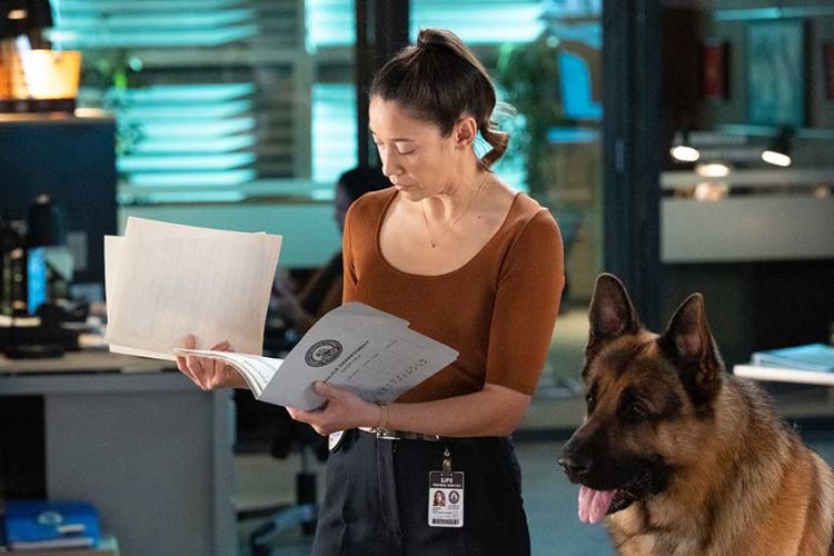 "Hudson et Rex" saison 7, résumé des épisodes diffusés sur France 3 dimanche 28 juin 2026