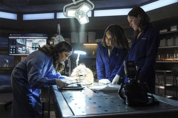 "Les Experts : Las Vegas", les 4 premiers épisodes diffusés sur TF1 mercredi 30 octobre 2024