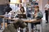 "HPI" : Cinq épisodes à revoir sur TF1 jeudi 1er août 2024 avec Audrey Fleurot