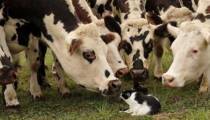 “L'amour est dans le pré” lundi 4 septembre : voici ce qui va se passer sur M6 dans la 12ème soirée