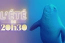 "L'été de 20h30" : Le retour du Phoque moine de Méditerranée ce 3 juillet 2026 sur France 2