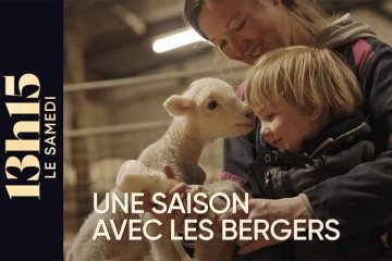 "13h15 le samedi" : Une saison avec les bergers Julien et Aurélie ce 9 mai 2026 sur France 2