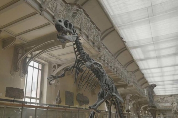 "Mammouths, dinosaures : peut-on vraiment les faire revenir ?" sur RMC Decouverte jeudi 16 avril 2026